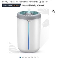 2 In 1 Function Humidifier 
