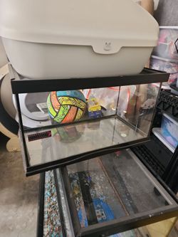 10 gallon top open tank