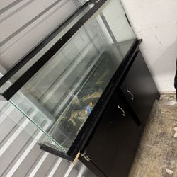 60 Gal Tank And Stand