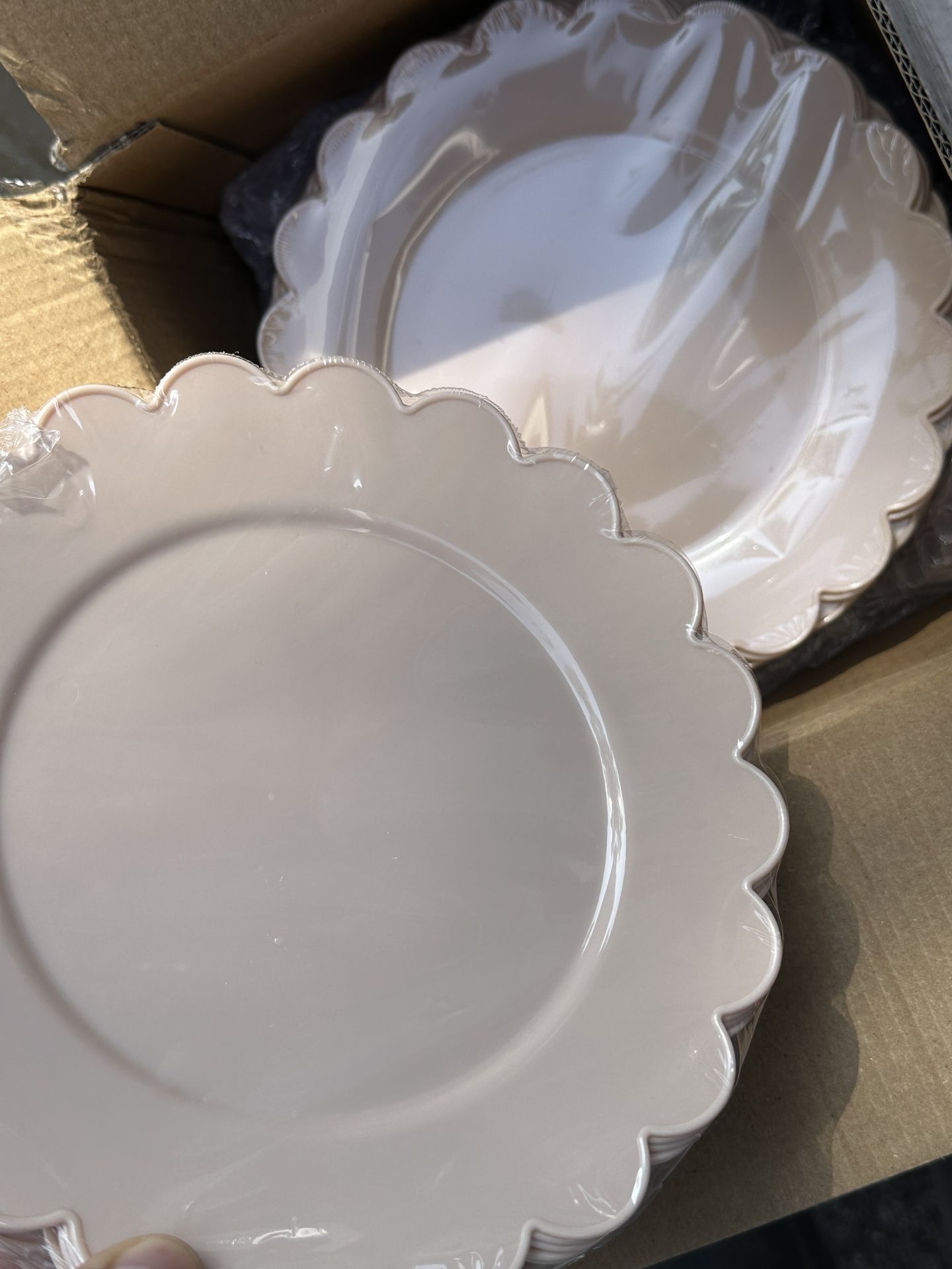 New Box Of Disposable High Quality Party Plates & Utensils
