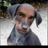 Beneno