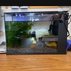 3g Fish Tank With Built In Filter And Moss