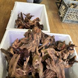 Aquarium Driftwood Hardscape For Aquascaping 