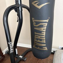 Everlast Powercore Combo Bag With stand 
