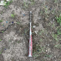 Bat