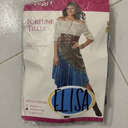 Fortune Teller Gypsy Costume 