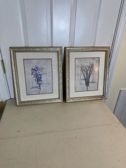 Matching Framed Botanical Floral Prints – Set of 2 – Elegant Silver Frames