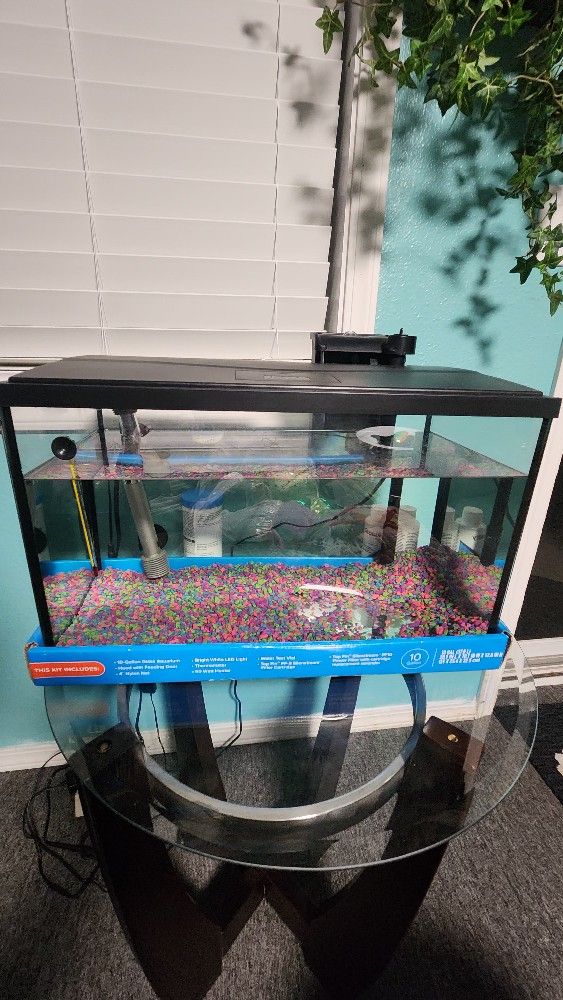 Fish Tanks