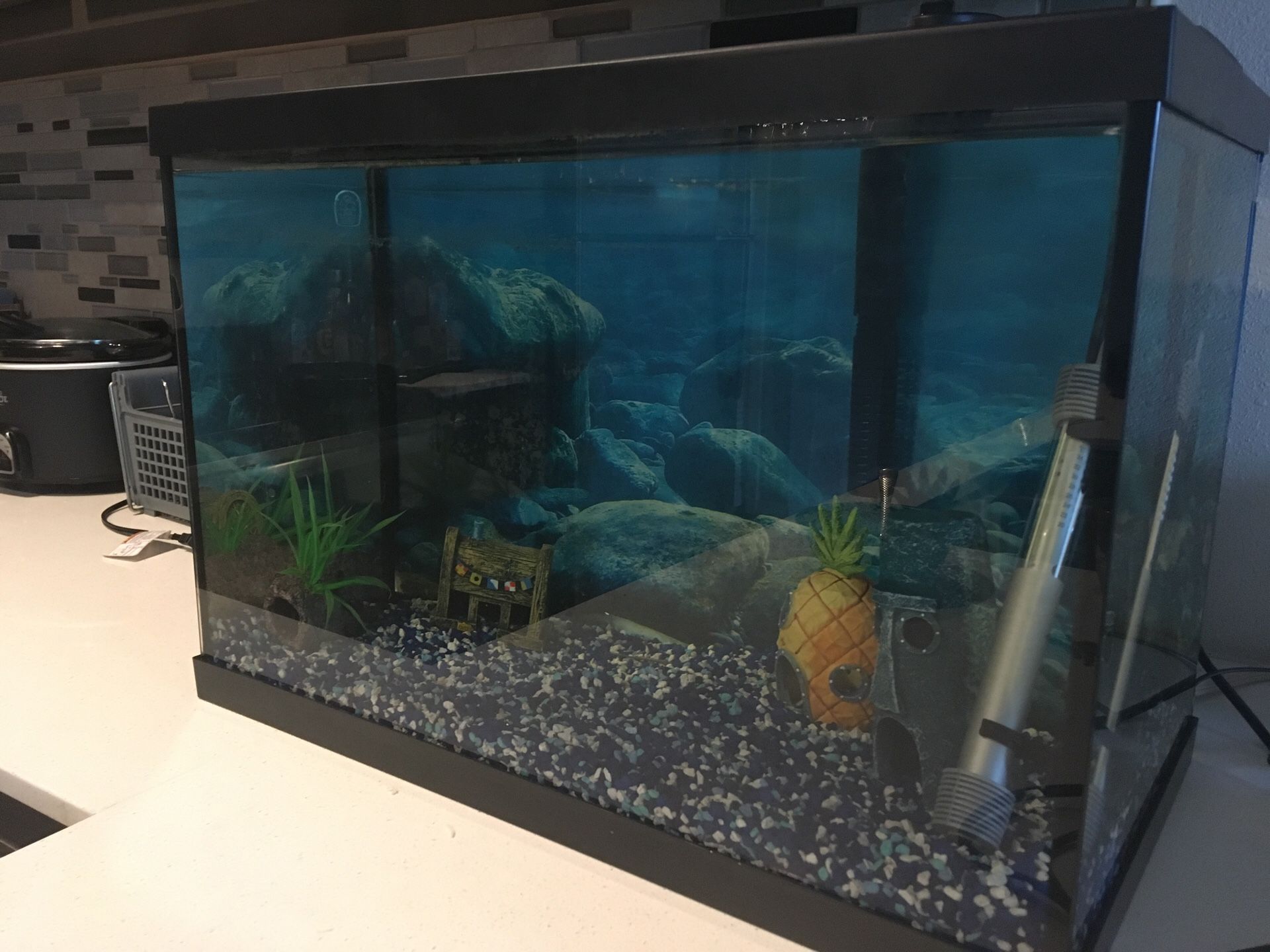 20 Gallon Fish Tank (Brand New)