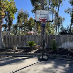 Basketball Hoop