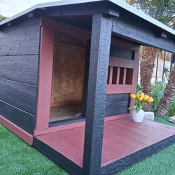 Dog House 