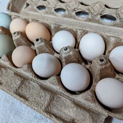 Dozen Fresh Chicken eggs.