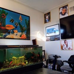 GIANT FISH TANK 🐟 AND GLASS LOCK 🔐 CABINET'S 9 CABINET PLUS MAGIC 🎩 GLASS GREEN 💚 🟩 