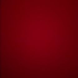 Big Collections Of Pokémon Cards