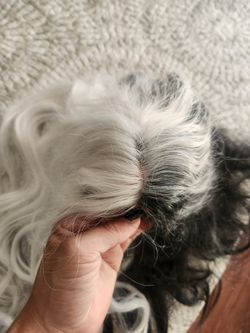 Black And White Lace Front Wig
