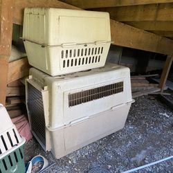 Large pet transporter