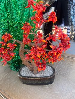 Bonsai tree
