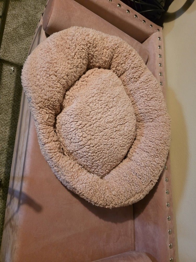 Cat Bed New