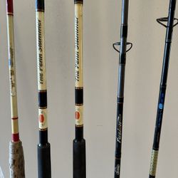 Fishing Rods 