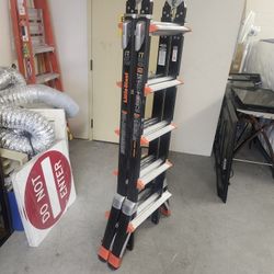 Little Giant Dark Horse Ladder