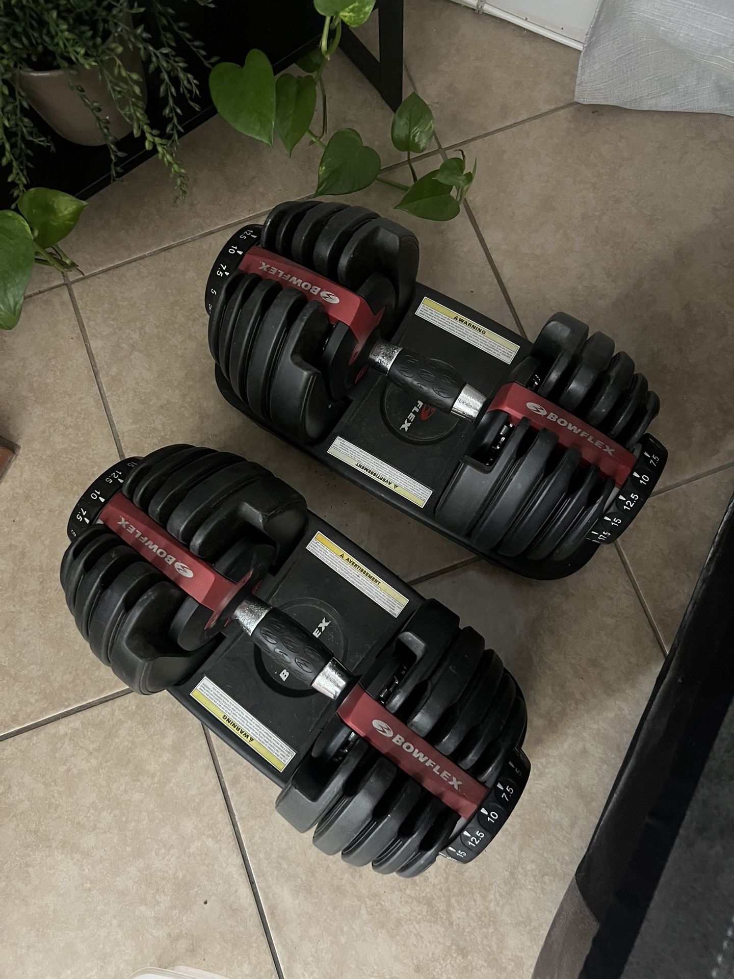 Bowflex Dumbbells