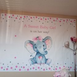 Baby Girl Backdrop 