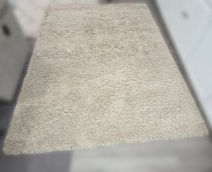 Thomasville marketplace Luxury Shag Rug