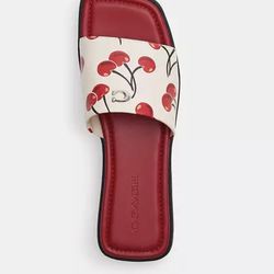 Coach cherry sandals $65 used once