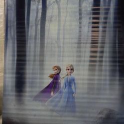 Frozen Theatre Movie Poster From Theatre 8’x 5’ Huge