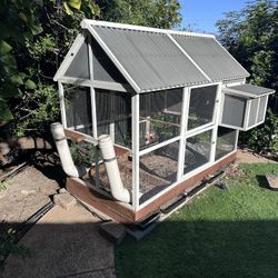 Chicken Coop