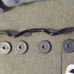Ez Curl Bar (Workout Equipment)