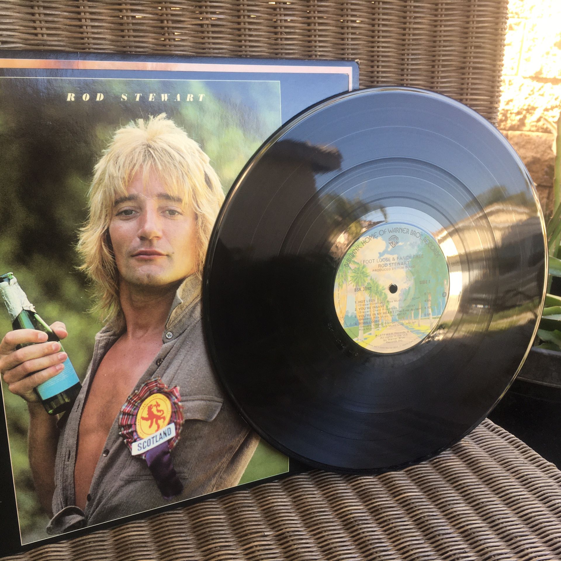 Rod Stewart Vinyl Record
