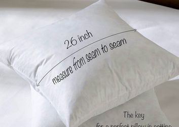 One New 26x26 Goose Feather Down Euro Pillow Insert