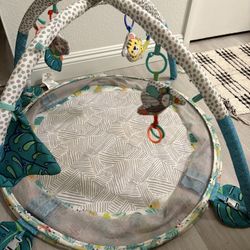 Baby Activity Gym