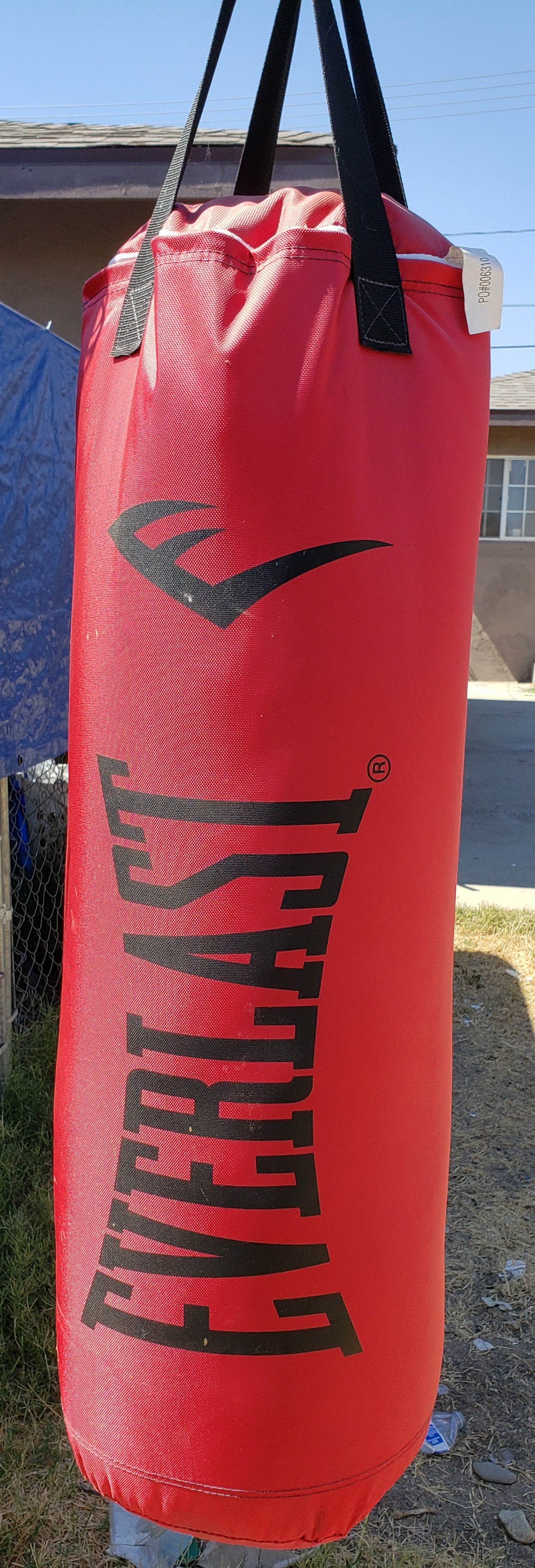 Everlast punching bag...with gloves.