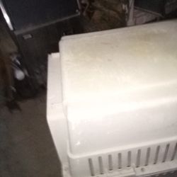 Dog Kennel 