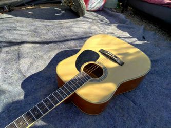 Acoustic Guitar 🎸