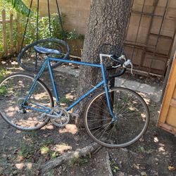 Vintage Road Bike Univega Viva Sport Road Champion