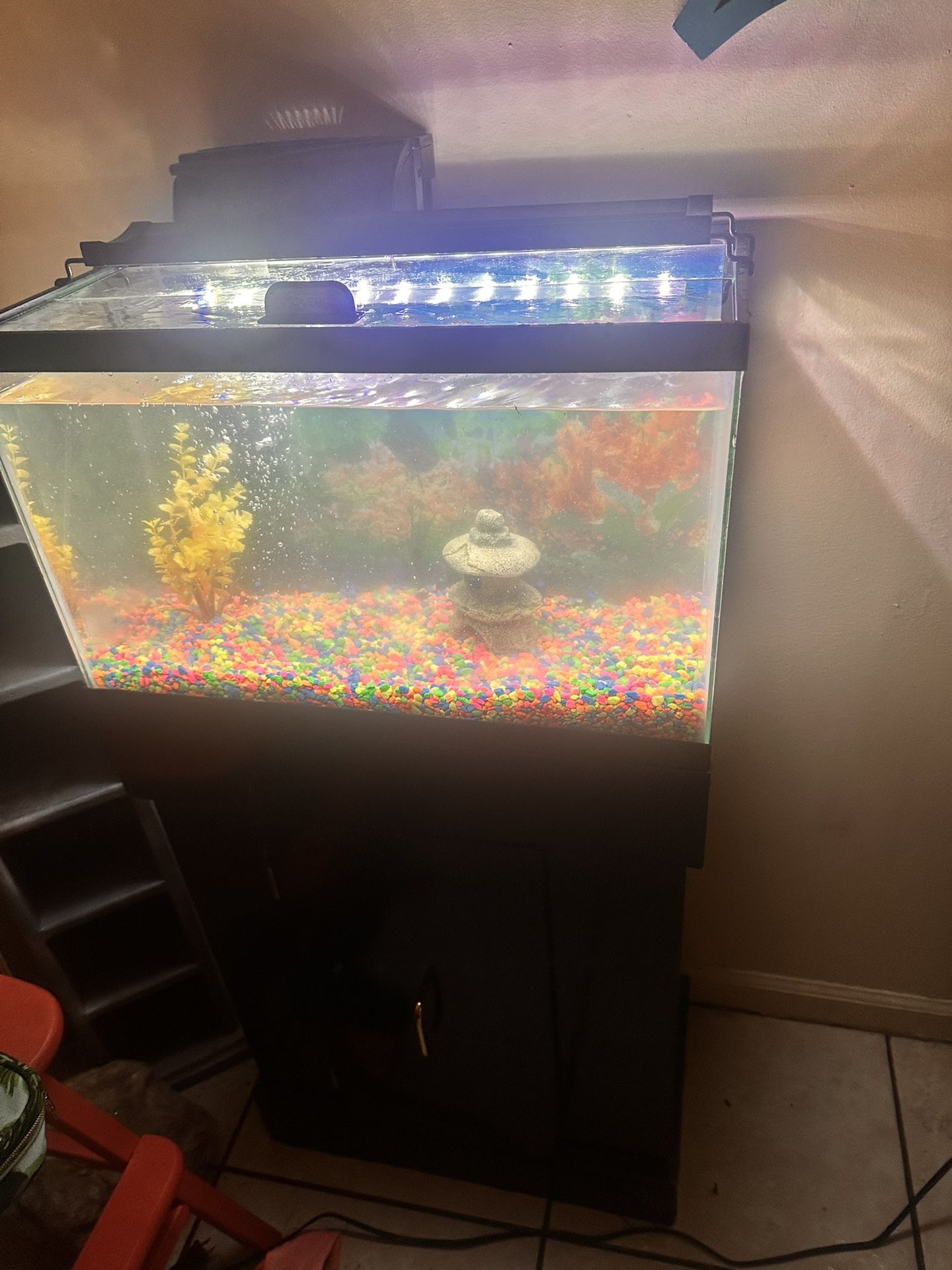 Fish Tank With All Supplies Including All Puma And Filters 