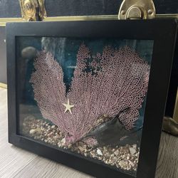 Sea Fan with Mermaid Purse aka Shark Egg Sack Unique Artwork!