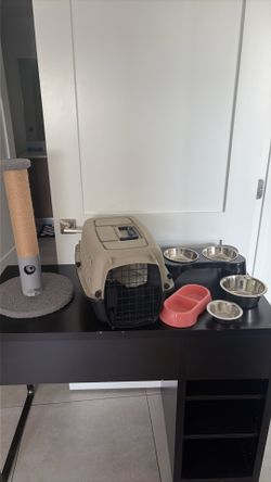 Random Pet Stuff