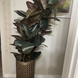 WestElm plant With Planter