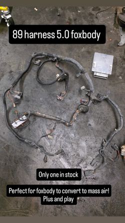 Mustang Foxbody 5.0  89 Harness And Ecu