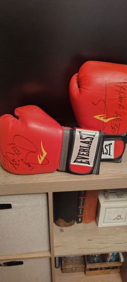 Boxing gloves signed