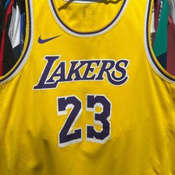 Lebron James Jersey