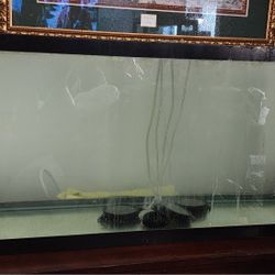 55 Gallon Aquarium 