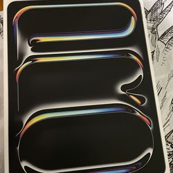 iPadPro 13 Inch  (M4 chip) WiFi-Cellular 256GB