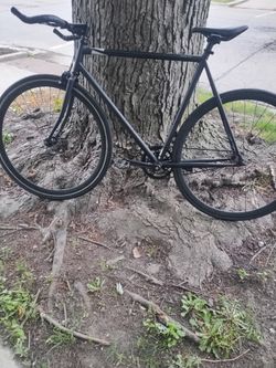 PURE FIX . Fixie bike 58 cm