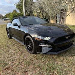 2019 Ford Mustang