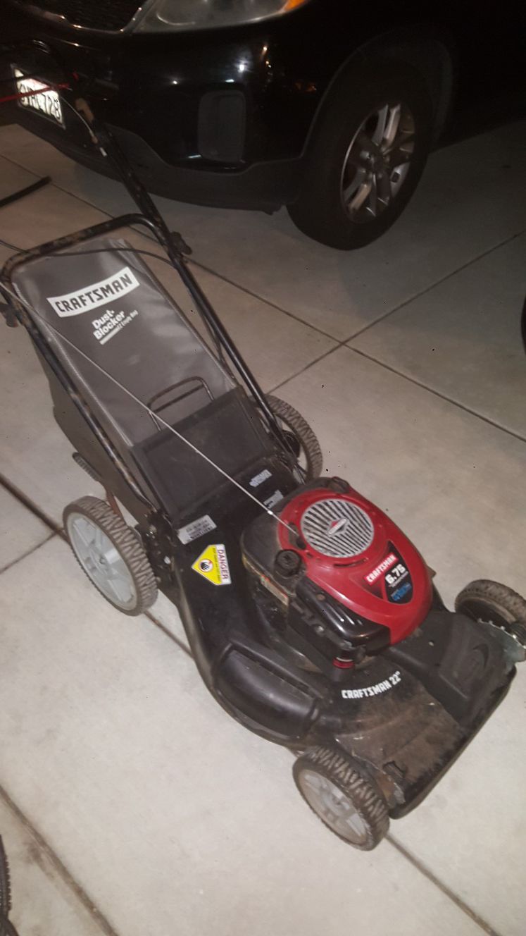 Self propelled lawn mower with bag